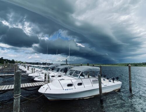 Lake of the Woods Fishing Report – May 1, 2025