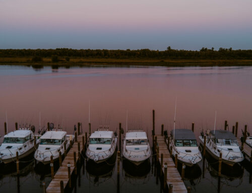 Lake of the Woods – Fishing Report, October 29th, 2024