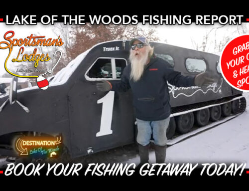 Lake of the Woods Ice Update – January 10, 2025